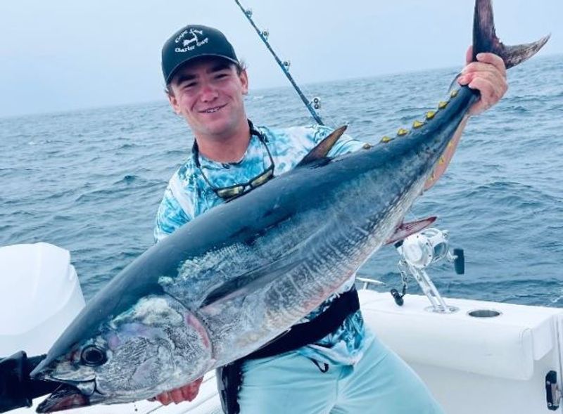 Cape Cod Bluefin Tuna Charters